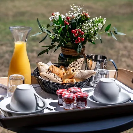 & Events Le Patio Occitan Toulouse Ouest - Hotel