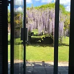 Hotel Hotel & Events Le Patio Occitan Toulouse Ouest - Cugnaux