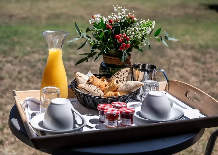 Hôtel&events Le Patio Occitan - Toulouse Ouest - La Ramée Hotel